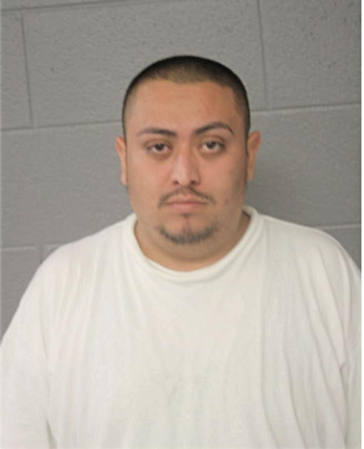 JUAN MANUEL ALANIS, Cook County, Illinois