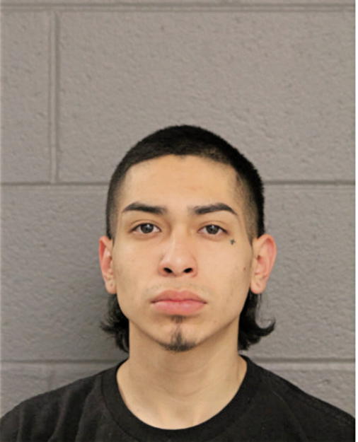 VICTOR ALCOCER, Cook County, Illinois