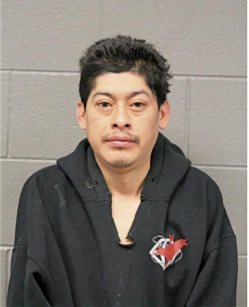 GUADALUPE ALVARES, Cook County, Illinois