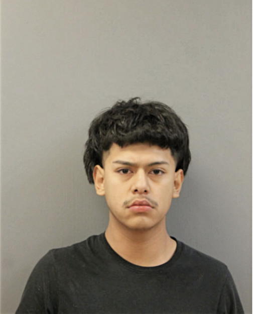 JESUS R ARCEO, Cook County, Illinois