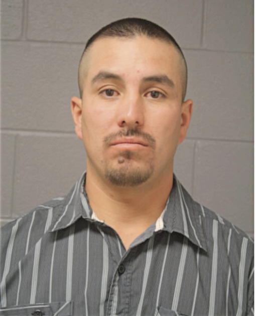 SAUL ARELLANO, Cook County, Illinois