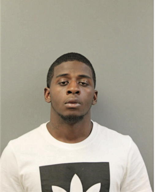 TERREON V BLAKE, Cook County, Illinois