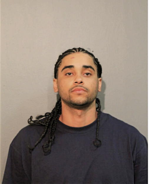 TERRELL A BRADLEY, Cook County, Illinois