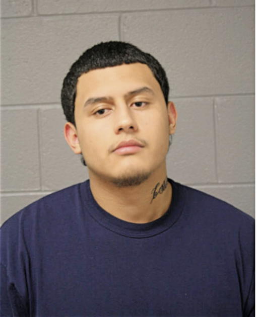 CRISTIAN CAMPOS, Cook County, Illinois