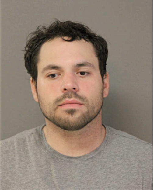 ANTHONY E CHERNESKY, Cook County, Illinois