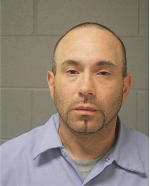 DAVID J DUPLESSIS, Cook County, Illinois
