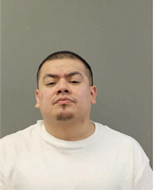 JUAN C FERNANDEZ, Cook County, Illinois