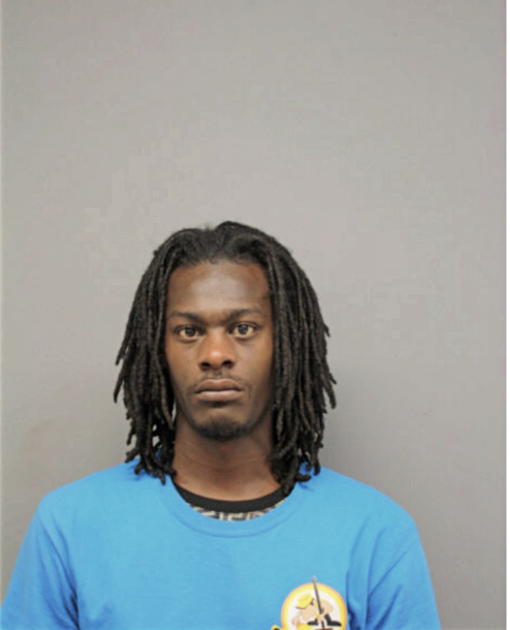 MARK L HAYES, Cook County, Illinois