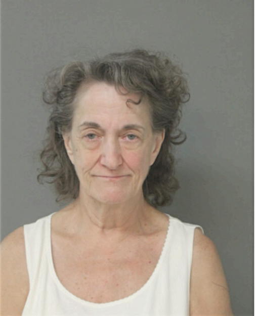 JOYCE D HEIDER, Cook County, Illinois