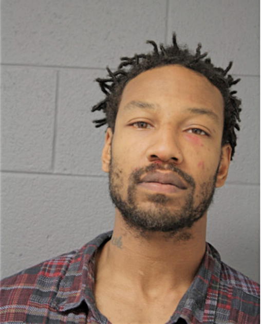 AMOS P JOHNSON, Cook County, Illinois