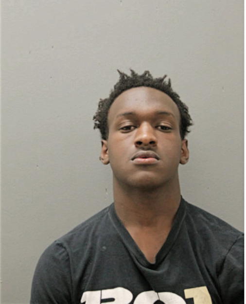 ANDREW P LEWIS, Cook County, Illinois