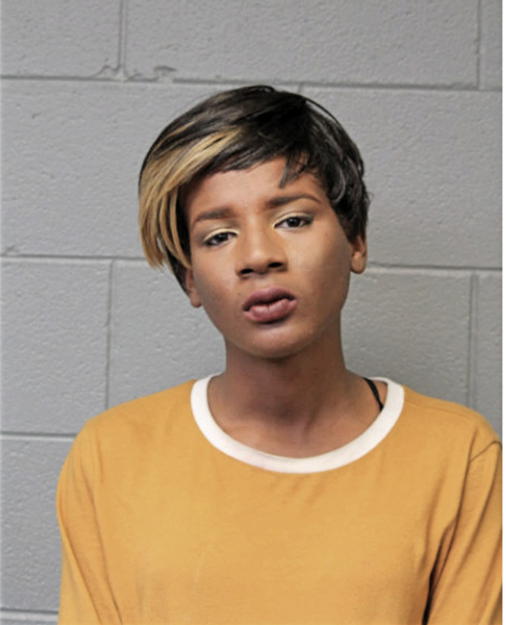 KAMILLA R MCMILLER, Cook County, Illinois