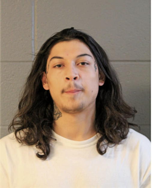 ALIJANDRO M MOSQUEDA, Cook County, Illinois