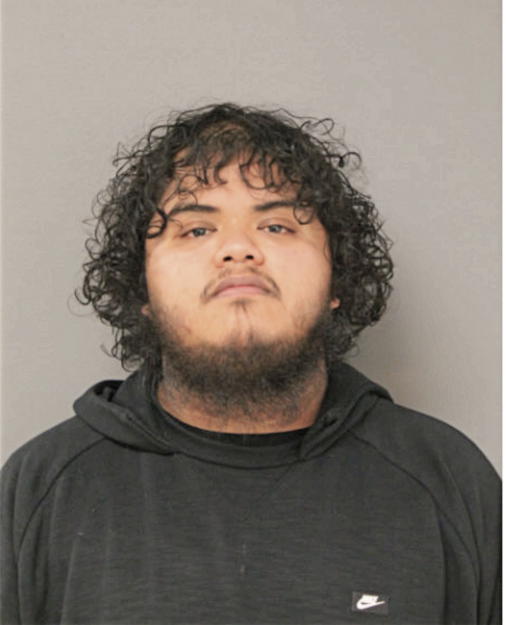JAMES E ROQUE, Cook County, Illinois
