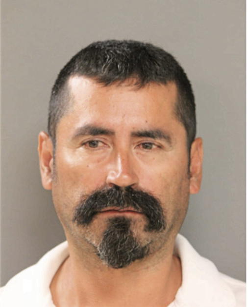 RENE ROSALES, Cook County, Illinois