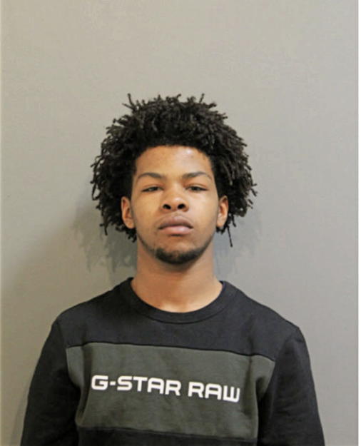 DAVID L THOMPSON, Cook County, Illinois