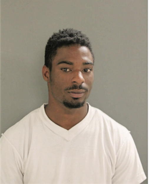 MICHEAL M WILLIAMS, Cook County, Illinois