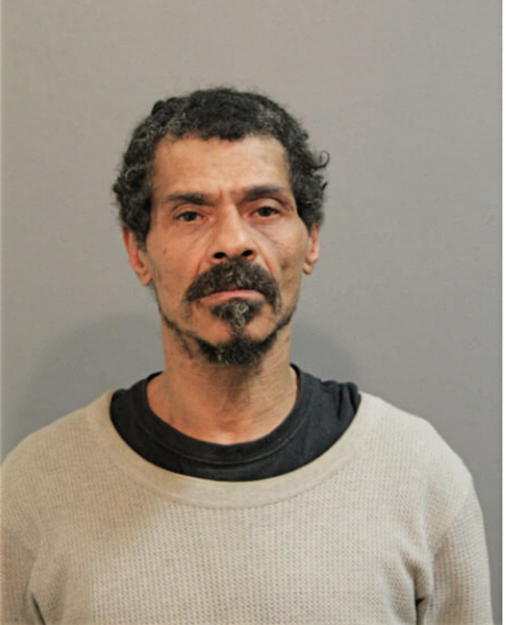 JAMES E WISEMAN, Cook County, Illinois