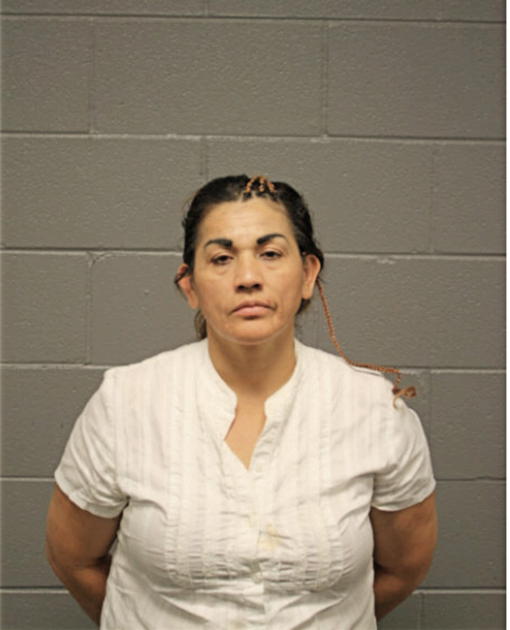 NORMA V ZEPEDA, Cook County, Illinois