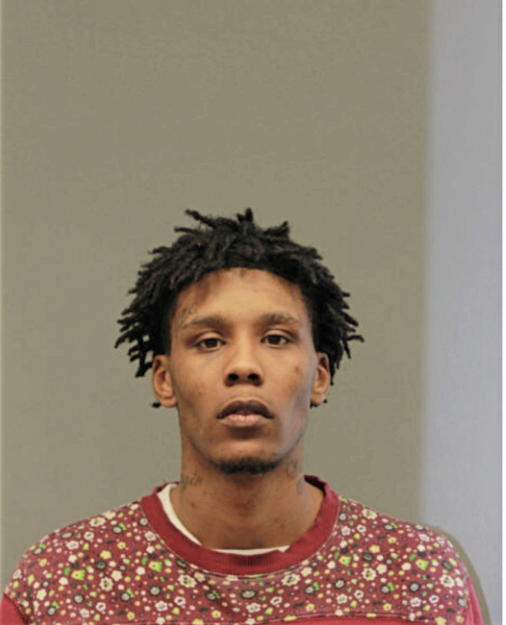 MARK A ANDERSON, Cook County, Illinois