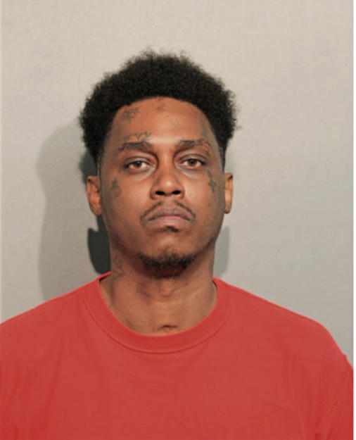 MICHAEL E ANDERSON, Cook County, Illinois