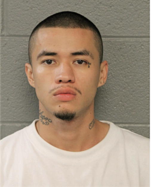 MICHAEL D ANGUIANO, Cook County, Illinois