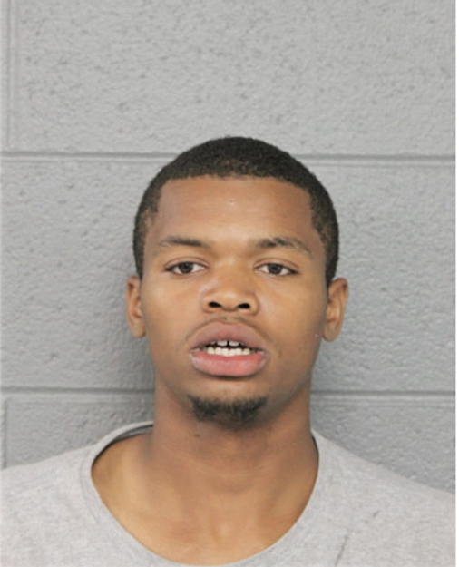 STEVE A BRADLEY, Cook County, Illinois