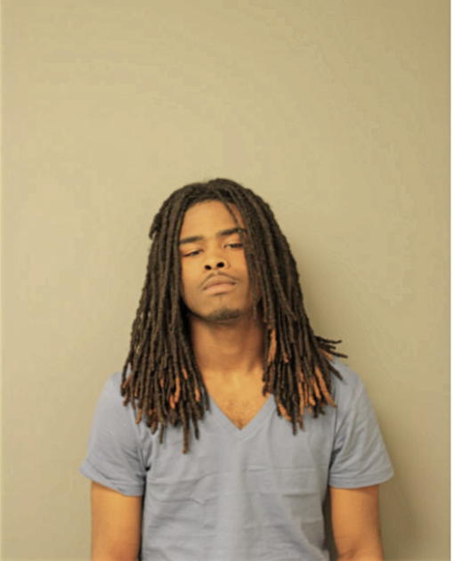 LEE D CAMERON, Cook County, Illinois