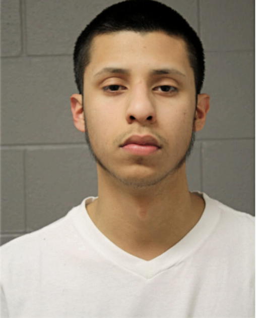 NICHOLAS CANTU, Cook County, Illinois