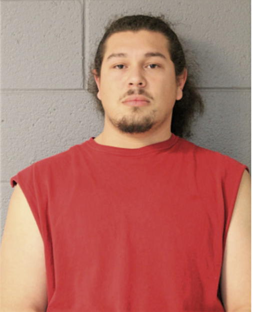 LUIS A CARRILLO, Cook County, Illinois