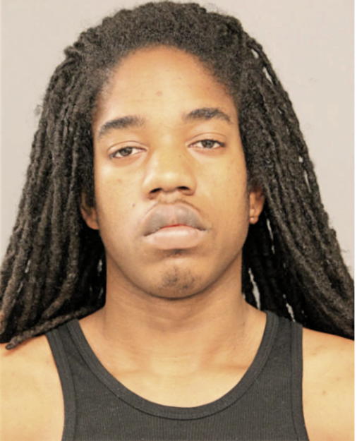 CHARLES E PATTERSON, Cook County, Illinois