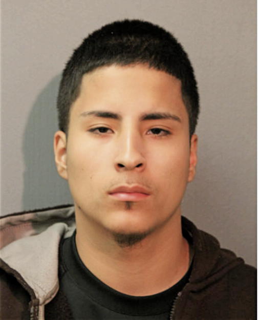 ALEJANDRO J ELVIRA, Cook County, Illinois