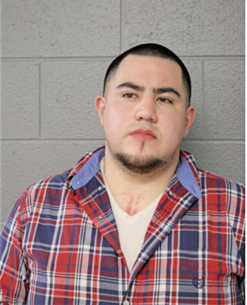 ISRAEL ESTRADA, Cook County, Illinois