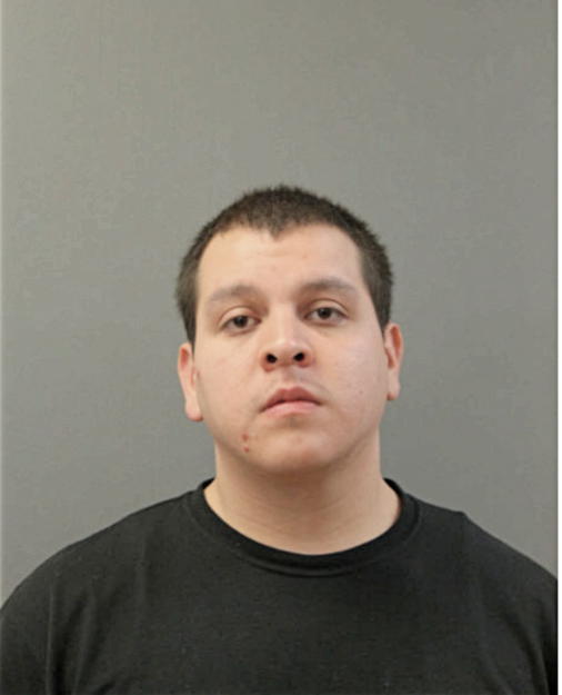 ANTHONY M FAVELA, Cook County, Illinois
