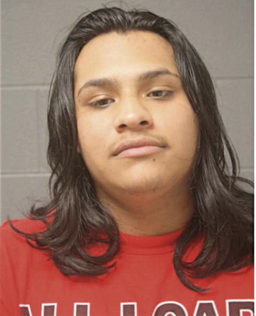 FRANK GUZMAN, Cook County, Illinois