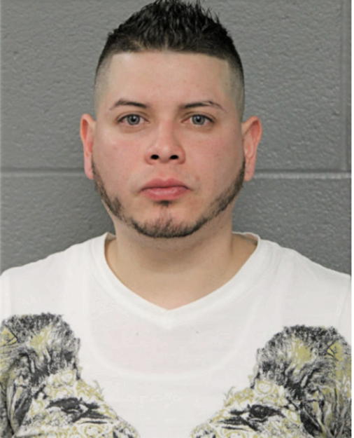 JOSE L HERNANDEZ, Cook County, Illinois