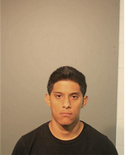 JOSE L HUAZANO, Cook County, Illinois