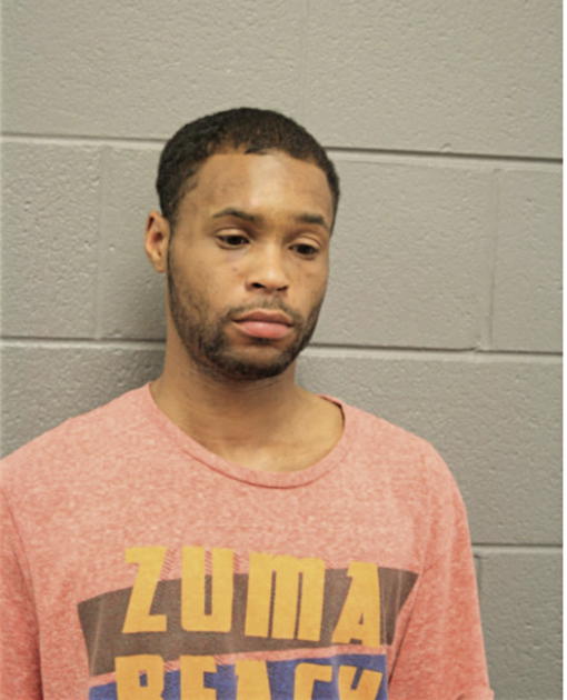 MARIO R HUDSON, Cook County, Illinois