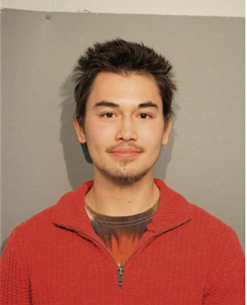 STEPHEN K NGUYEN, Cook County, Illinois