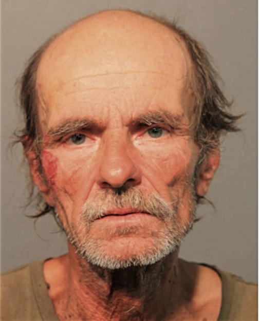 MICHAEL W OLLIS, Cook County, Illinois