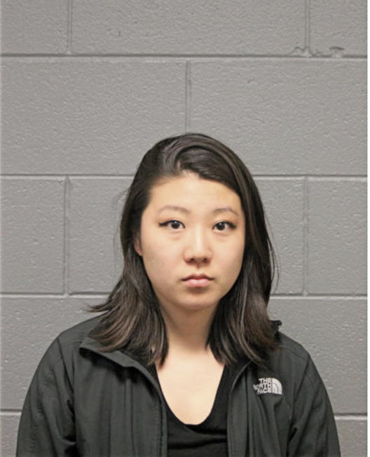 GRACE K PAI, Cook County, Illinois
