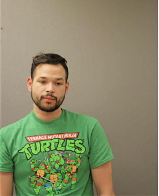 IVAN ROMAN, Cook County, Illinois
