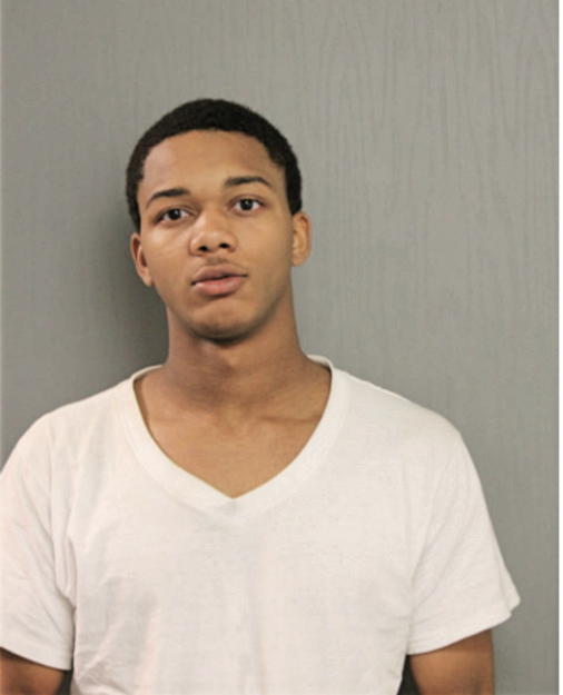 RYAN W SMITH, Cook County, Illinois