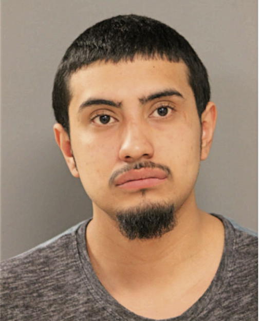 SALVADOR SUAREZ, Cook County, Illinois