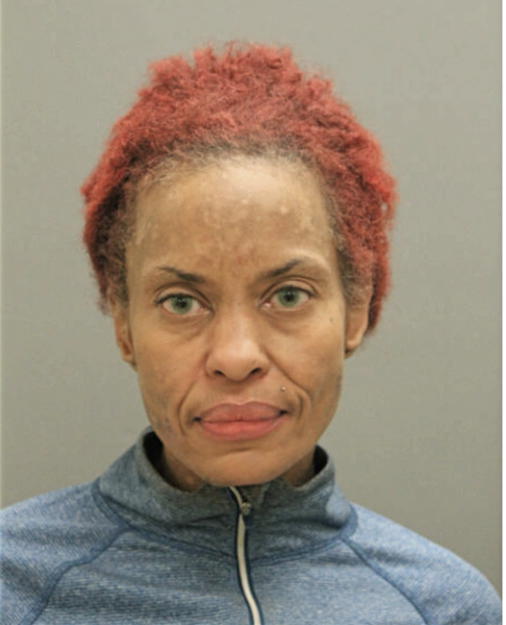 RITA S TRIGUEROS, Cook County, Illinois