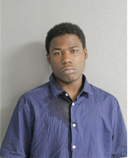 ARNOLD M YOUNG, Cook County, Illinois