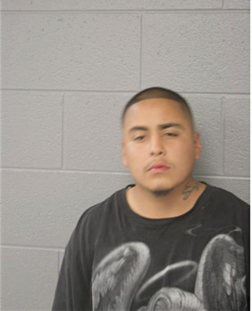ARNOLD E ZAVALA, Cook County, Illinois