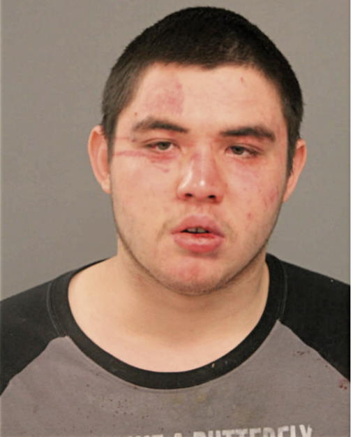 DAVID J BATTLE, Cook County, Illinois