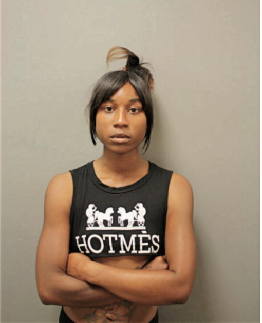 CRYSTAL S DORTCH, Cook County, Illinois