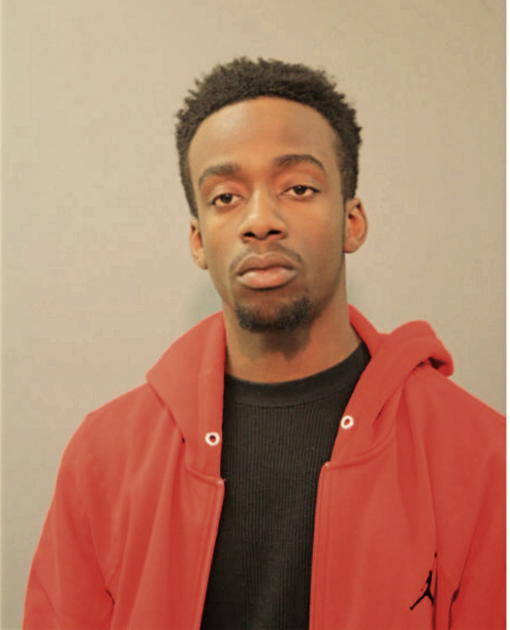 MICHAEL S ELLIS, Cook County, Illinois